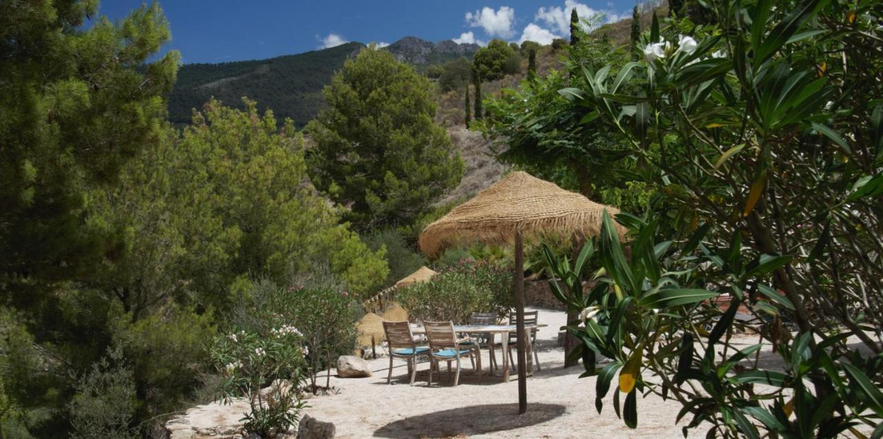 Alcaucín Boutique B&B El Refugio מראה חיצוני תמונה