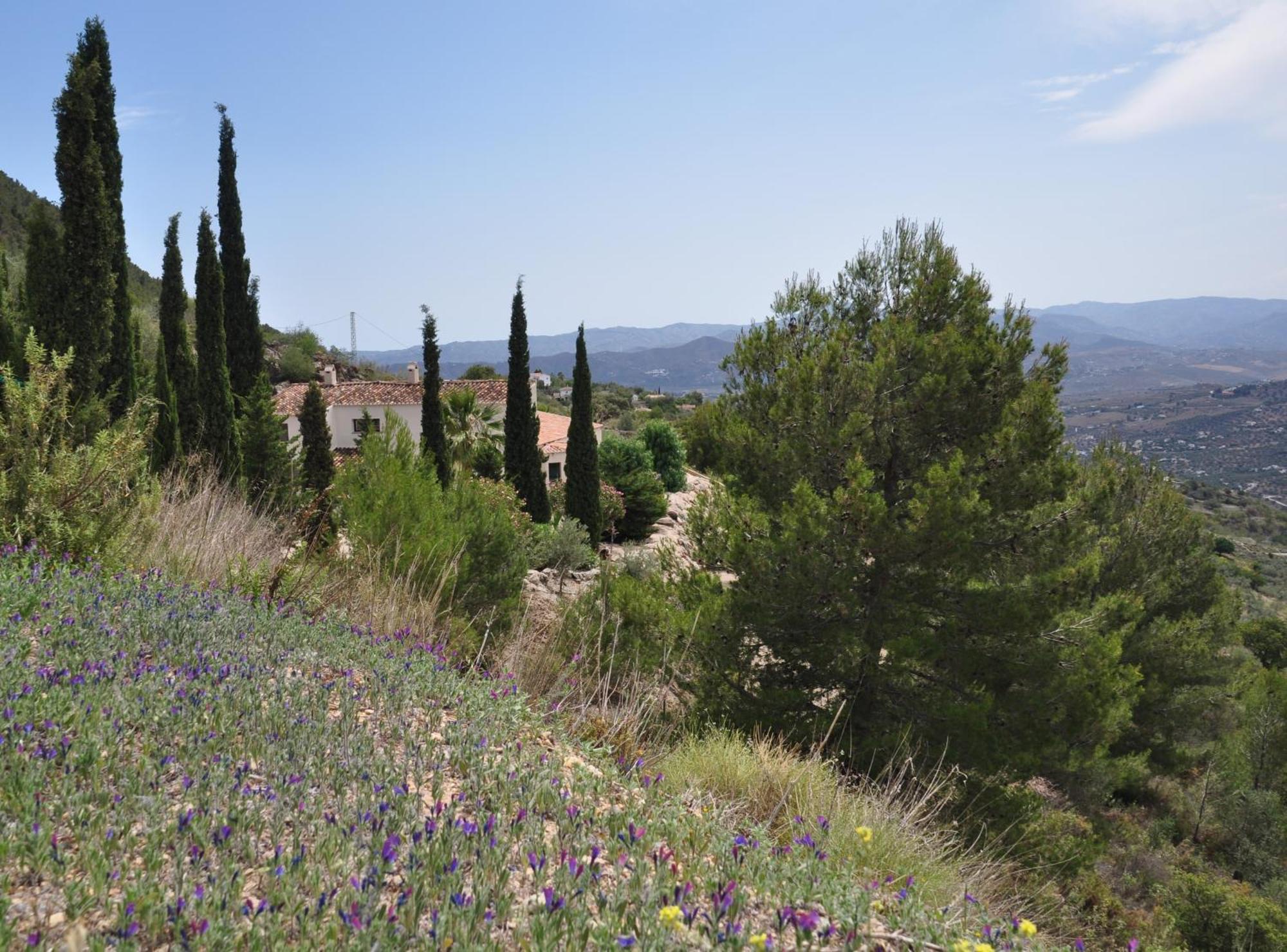 Alcaucín Boutique B&B El Refugio מראה חיצוני תמונה